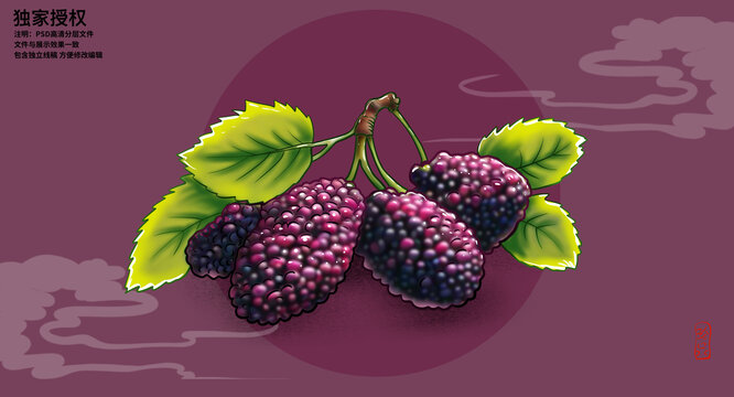 桑葚插畫