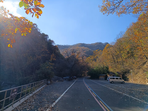 天池山秋景