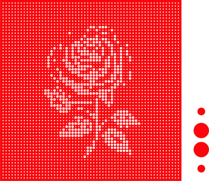 玫瑰花沖孔板