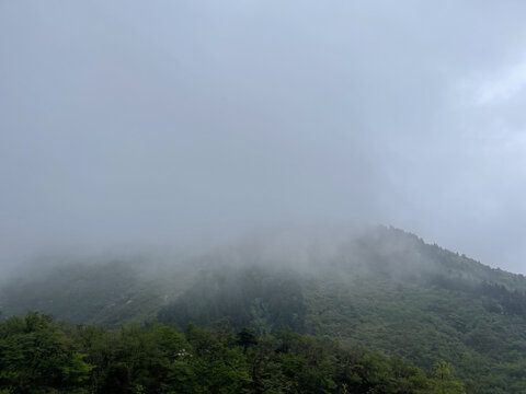 大雾中的山顶