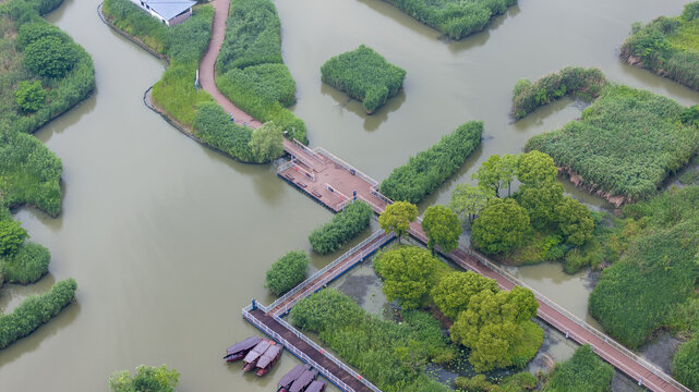 下渚湖湿地公园