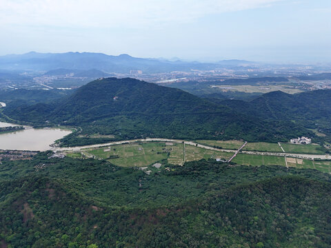 山區稻田