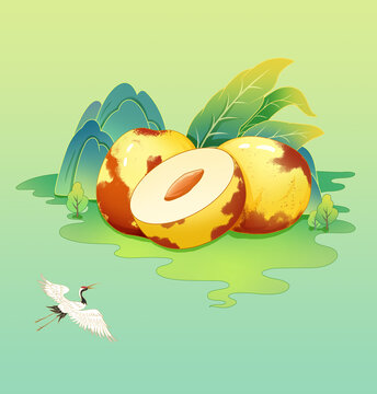 中國風(fēng)冬棗手繪插畫