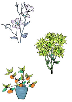 植物花卉