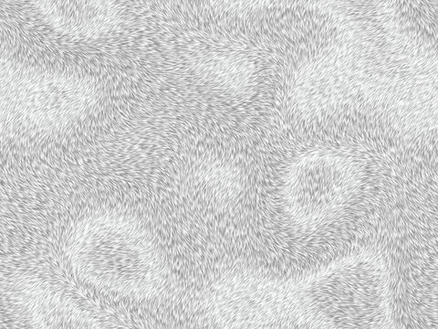 灰色毛發(fā)貼圖
