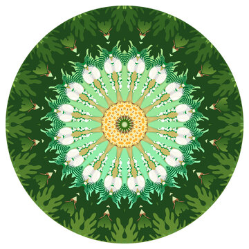 圆形绿色花纹装饰图案