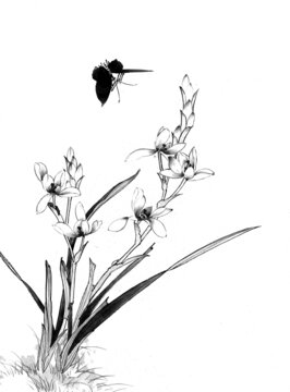 黑白線條圖