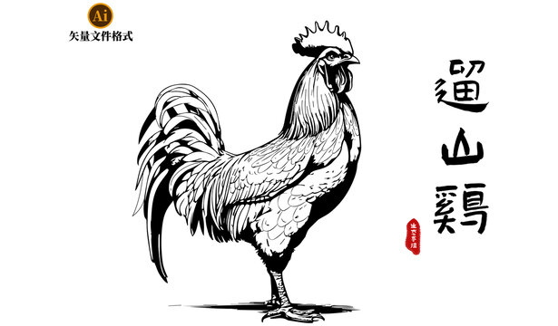 矢量插圖遛山雞