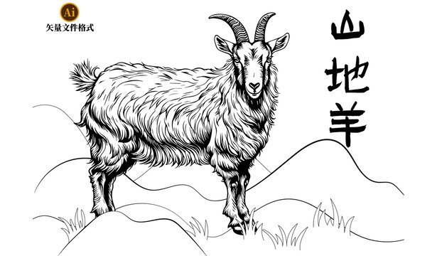 山羊