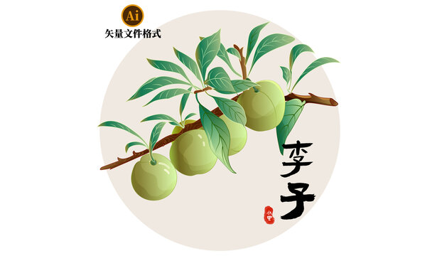 綠色李子矢量插畫