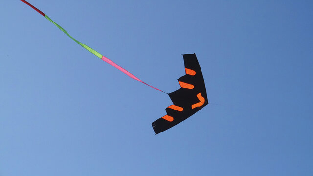 蓝天下自由飞翔的风筝