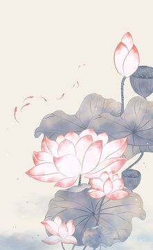 荷花圖