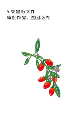 枸杞手繪矢量插畫
