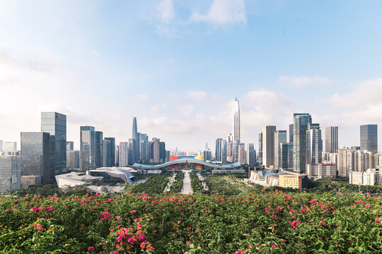 深圳市民中心蓮花山公園