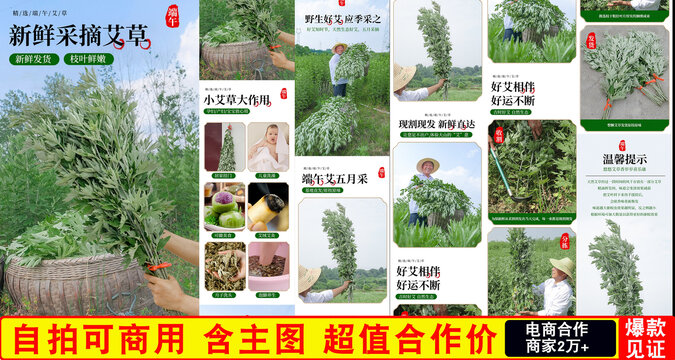 艾草詳情頁