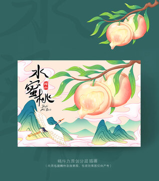 水蜜桃包裝插畫