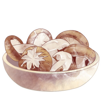 香菇