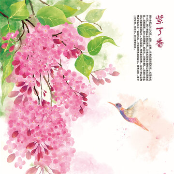 手繪水彩紫丁香
