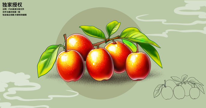 脆棗插畫
