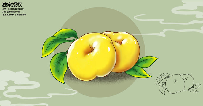 黃金蟠桃插畫手繪