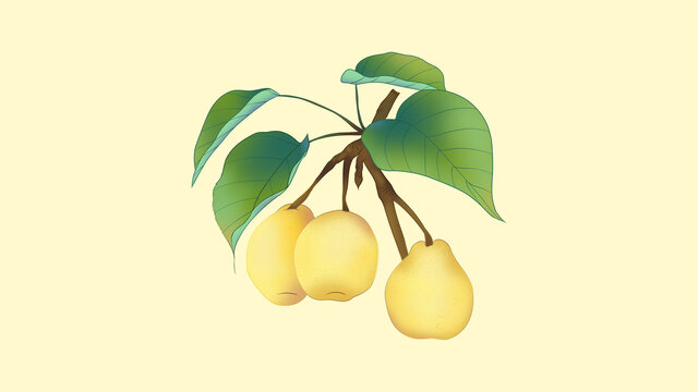鴨梨插畫