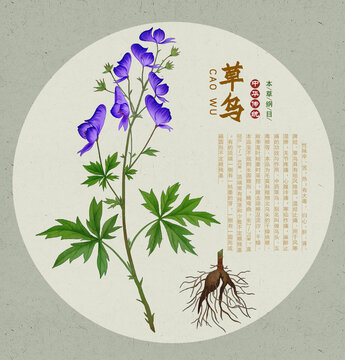 草烏