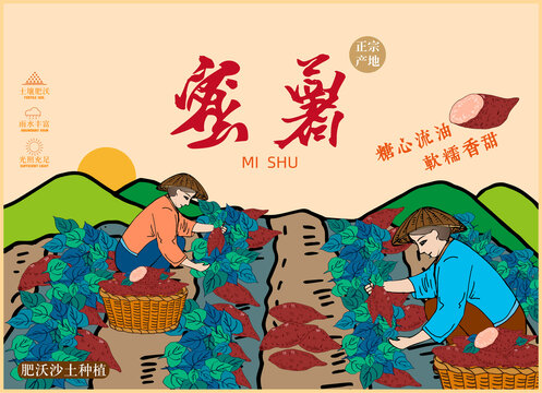 紅薯包裝