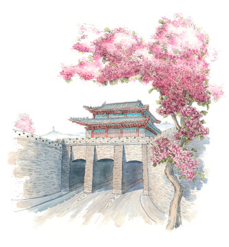 紫荊朝京