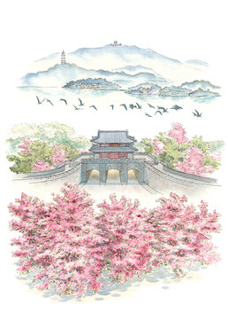紫荊花朝京門