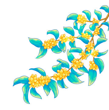 秋天中秋節(jié)桂花元素插畫