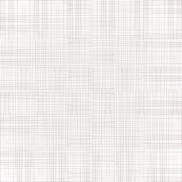 矢量格子線條