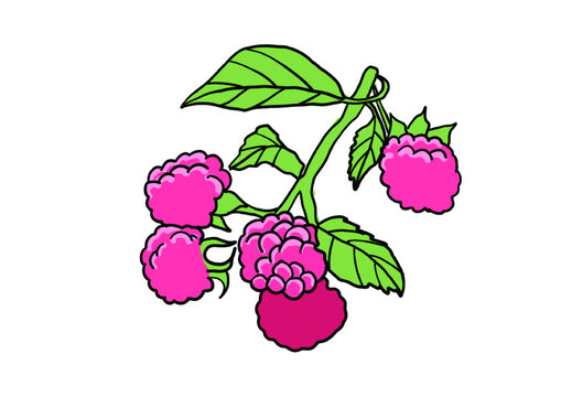 懸鉤子插畫