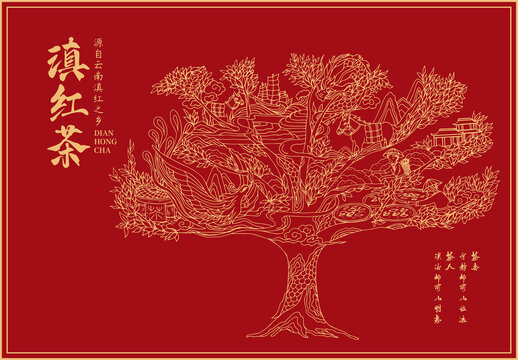 紅茶包裝