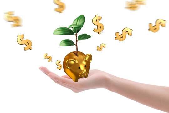 合成金融圖片金豬