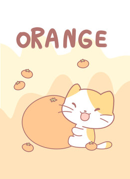 可愛小貓抱著橘子
