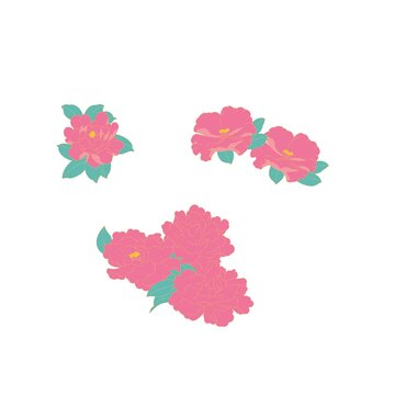 矢量國(guó)潮山茶花線稿插畫