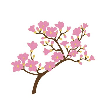矢量國(guó)潮玉蘭花線稿插畫