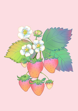 草莓水彩風(fēng)