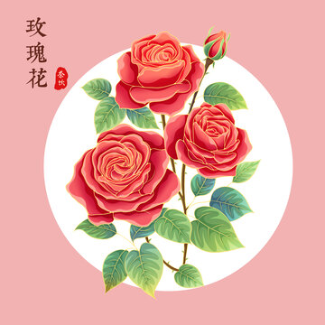 玫瑰花