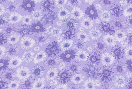 藍(lán)紫色系雛菊花