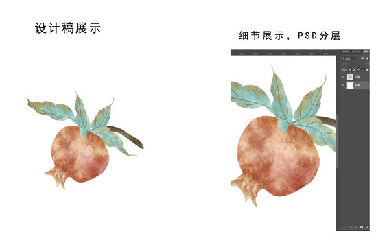 石榴插畫