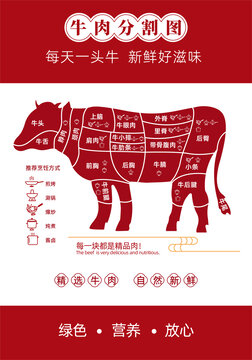 牛肉分割圖