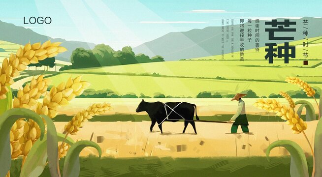 芒種節(jié)氣插畫海報(bào)