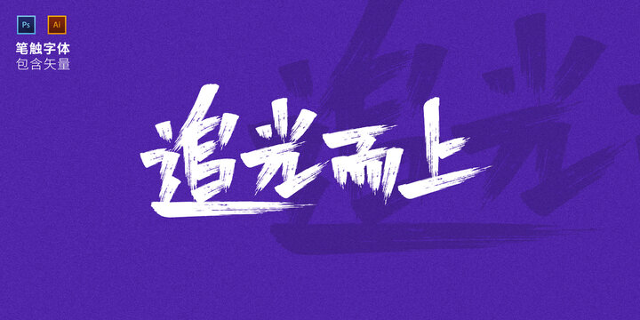 追光而上