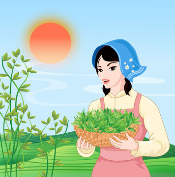 茶葉包裝插畫