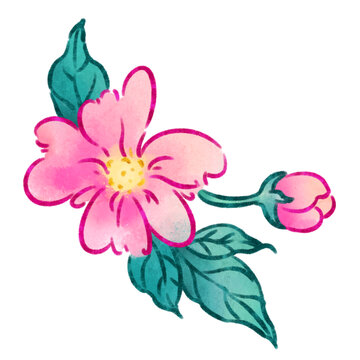 手繪花卉垂絲海棠