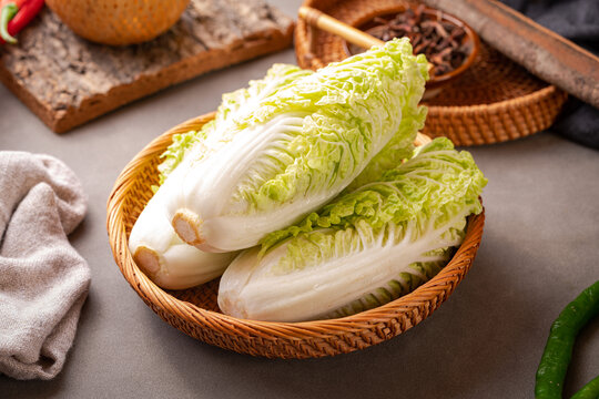 毛白菜
