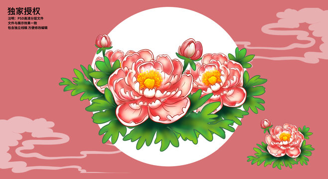 手繪牡丹花插畫