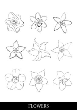 flowers線稿參考