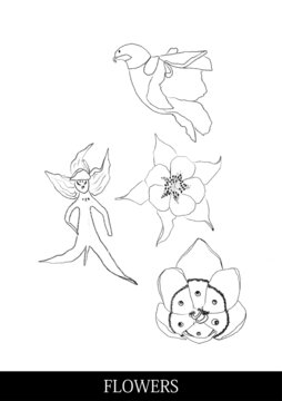 flowers分層線(xiàn)稿文件